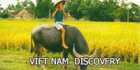 VIET NAM  DISCOVERY 